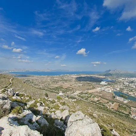 Olivo Domek alpejski Port de Alcudia (Mallorca)